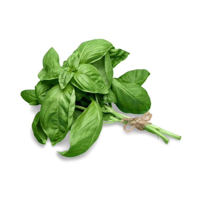 Basil - 1 case