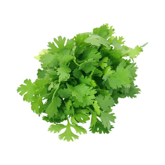 Coriander - 24-30pc
