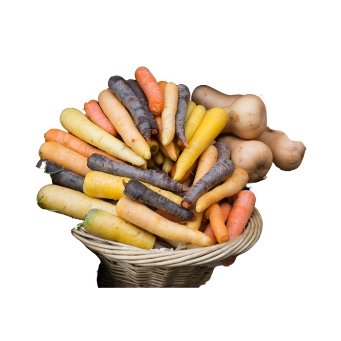 Carrots, Tri Colour