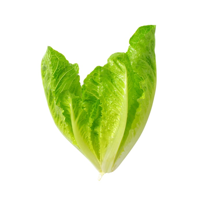 Lettuce, USA Hearts Romaine