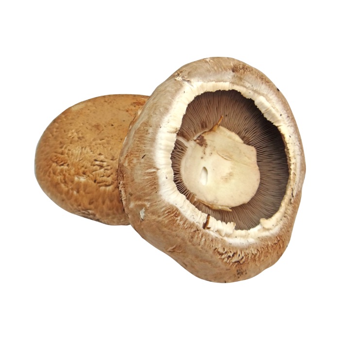 Mushrooms, Portobello - 5lbs