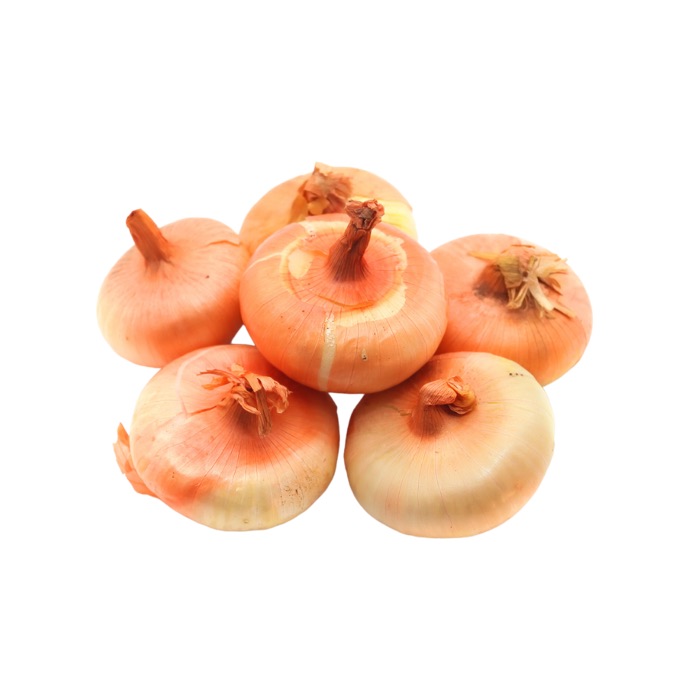 Onions, Cipollini- 10lbs