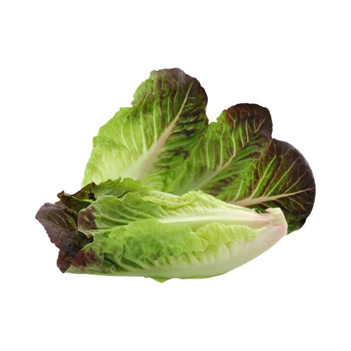 Lettuce, Romaine - 24