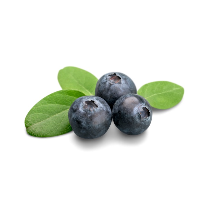 Blueberries Flat - 72oz
