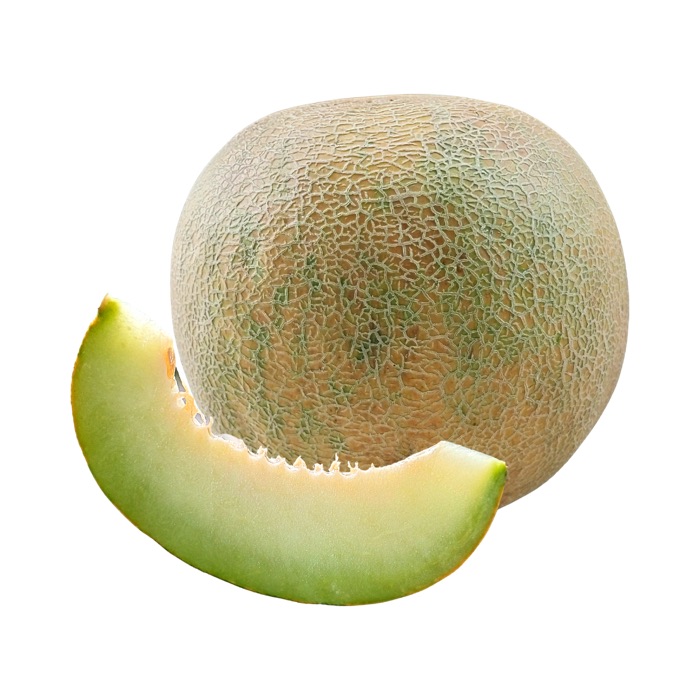 Honeydew