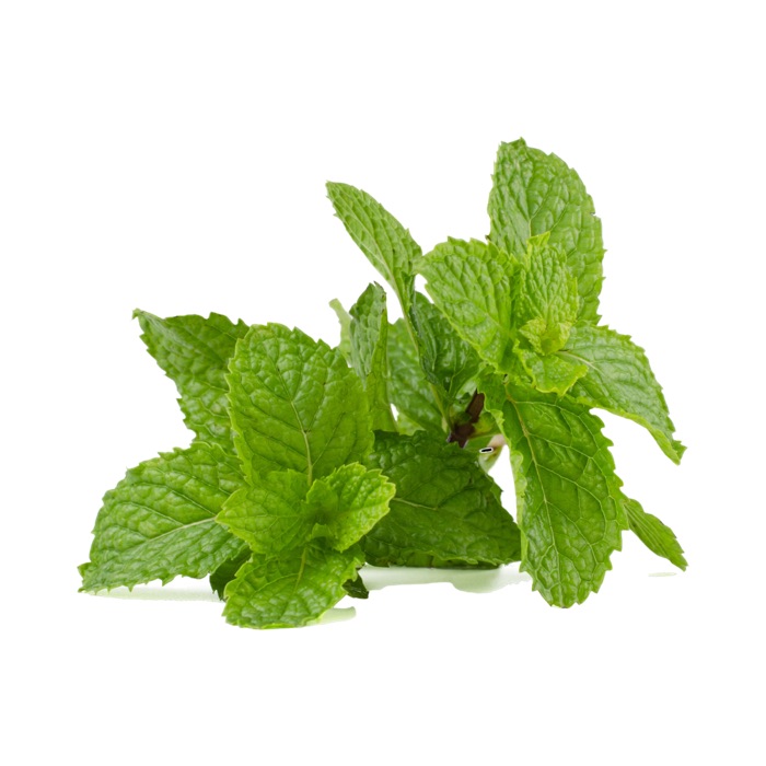 Mint - 1 bunch