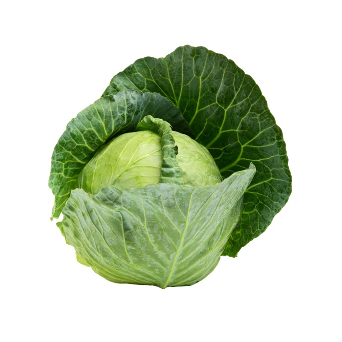 Cabbage, Green
