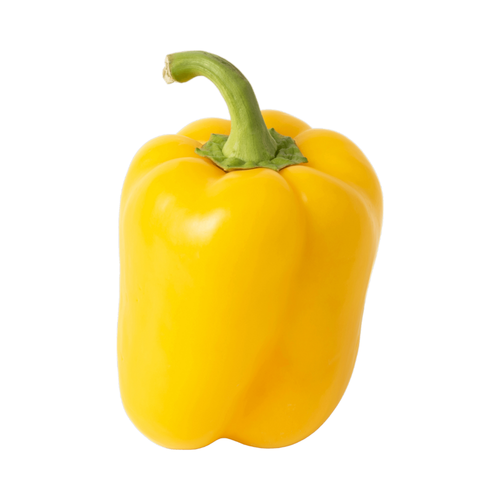 Bell Peppers, Orange- 5kg – Aenos Foods Services