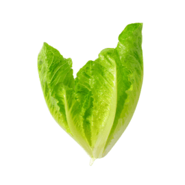 Lettuce, USA Hearts Romaine