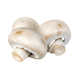 Mushrooms – 8oz tray