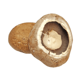 Mushrooms, Portobello – 5lbs