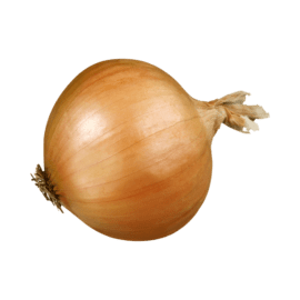Onions, Colossal