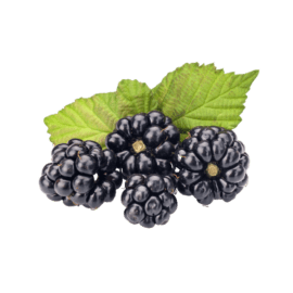 Blackberries, Flat – 72oz