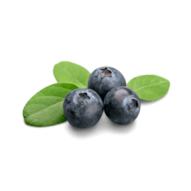 Blueberries Flat – 72oz