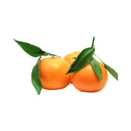 Clementines, leaves