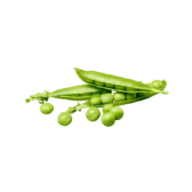 Beans, Regular Cut Frozen – 6x2kg