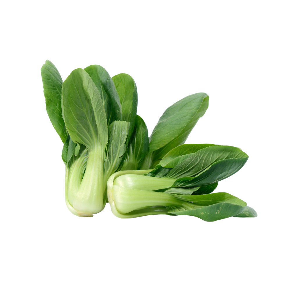 Bok Choy Baby Aenos Foods Services